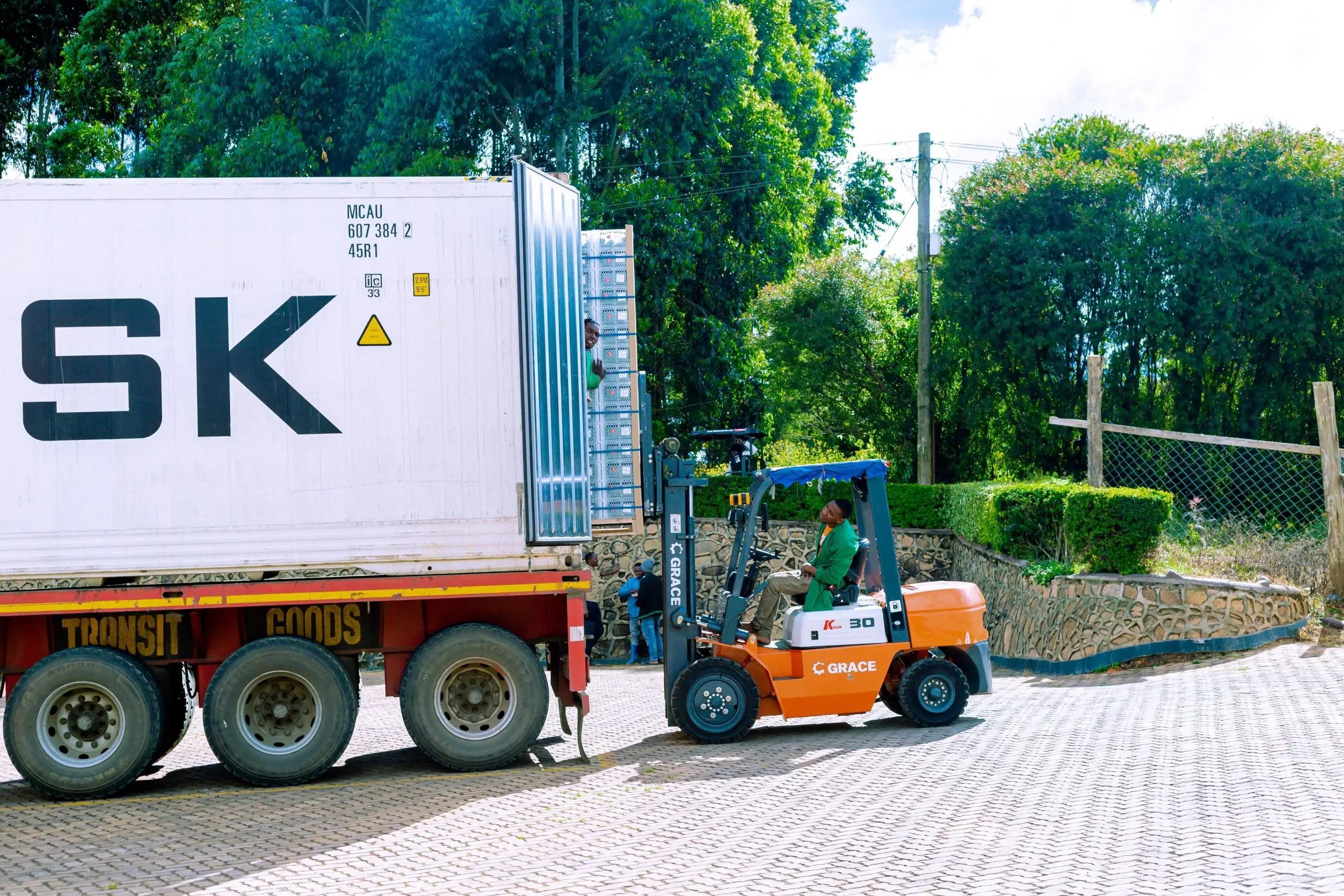 International Export Focus