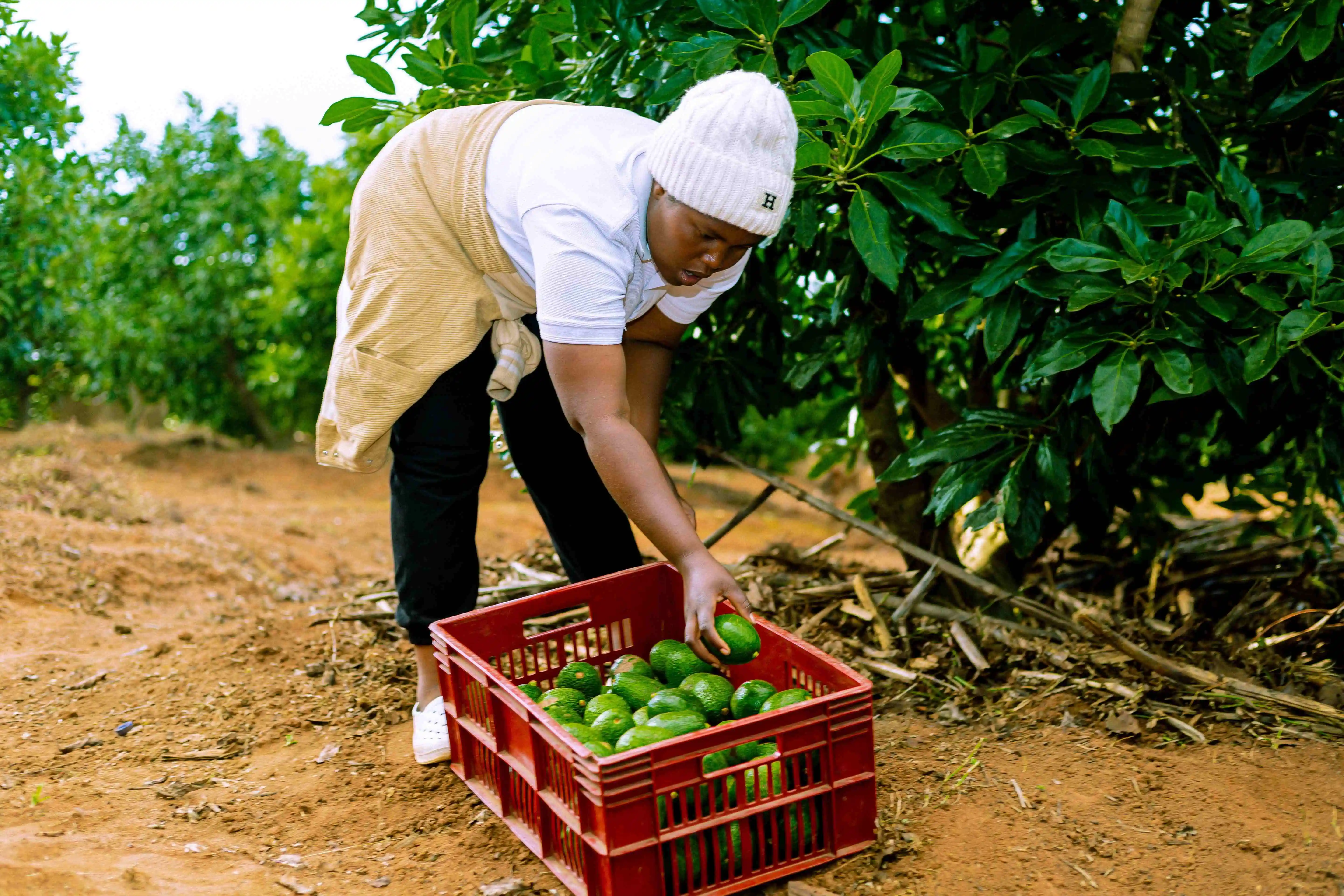 Sustainable Agriculture